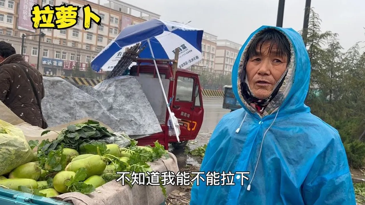 大磊打算批辣椒，没进市场大门，被大妈围住，收了一车萝卜白菜
