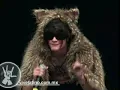 Presentación - Porter en el Vive Latino 2007 - "Daphne"