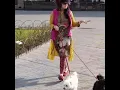 Definitely pets are allowed on a tour with us