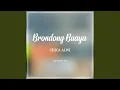 Download Lagu Brondong Buaya