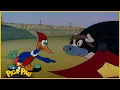 Download Lagu Pica-Pau em Português | O Matador | Desenhos para crianças