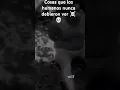 no te duermas morena no lo busquen por favor no