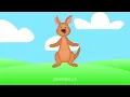 Kangaroo, Kangaroo