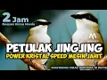 Download Lagu MASTERAN VIRAL JINGJING PETULAK SPEED MESIN JAHIT COCOK UNTUK MASTERAN MURAI CUCAK IJO CENDET KACER