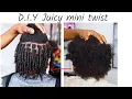 D I Y Juicy Mini Twist on 4c Natural Hair