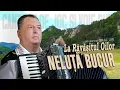 Lagu NELUTA BUCUR . Ravasitul oilor la Rucar I COLAJ LIVE I (oficial video)