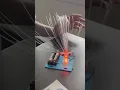 Peacock Lamp STEM DIY Kit Sneak Peak full vid available on channel