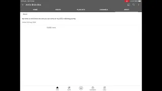 The moment when Ami s Brick Box hit 10 000 views