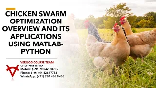 CHICKEN SWARM OPTIMIZATION OVERVIEW AND ITS APPLICATIONS USING MATLAB PYTHON