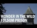 Folsom Prison Visit - WONDER IN THE WILD