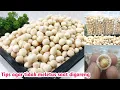 Download Lagu MULUS, RENYAH, GURIH CARA MUDAH BUAT KACANG ATOM SUKRO BISA UNTUK IDE JUALAN
