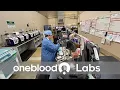 OneBlood s Laboratories