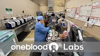 OneBlood s Laboratories