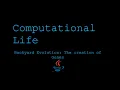 Simulating Life and Evolution in Java A New Beginning