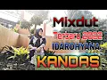 Download Lagu Lagu Lampung Terbaru 2022_ KANDAS - Cipt: Adi Dalpa || IDAROHYANA (Official Music/Vidio)