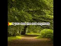 Download Lagu 'I Feel Your Love' - Amp Achariya \u0026 Ark Sudkhate
