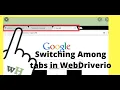How to Switch Among Windows in WebDriverIO Get Window Handles in Webdriverio web driver io tutorial