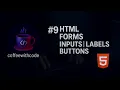 HTML Forms Tutorial Inputs Labels Buttons Explained with Code Web Development Course