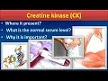 Download Lagu Creatine Kinase(CK)Clear overview.......