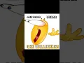 Alex Schor DigBar - GEE WILLIKERS