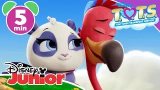 t o t s learning baby animals disney kids