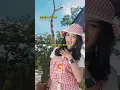 Download Lagu Lagu dangdut viralSafira Inema - Madiun Ngawi #SafiraInema #MadiunNgawi #lagudangdut #dangdut