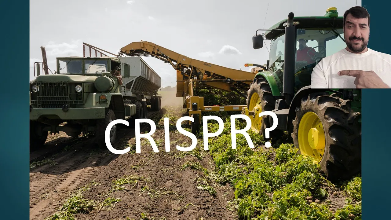 7 things CRISPR can actually help accomplish in agriculture