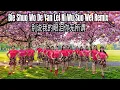 Download Lagu Bie Shuo Wo De Yan Lei Ni Wu Suo Wei Remix (别说我的眼泪你无所谓) Line Dance, Choreo : Sugeng (INA) (Sept2023)
