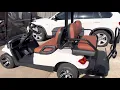 Advanced EV Golf Cart EV1 2021