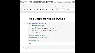 Day 17 Age Calculator using Python