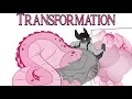 Pachy s Mirror Management Transformation ASMR