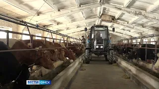 Почти 90 омских проектов в сельском хозяйстве были поддержаны грантами по программе «Агростартап»