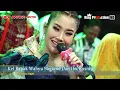 Download Lagu DURUNG DUDA - ANIK ARNIKA VERSI NEW ARNIKA JAYA LAGU HITS 2023 DESA JATIRENGGANG KEC PABUARAN