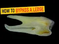 How to Fix a Ledge in Root Canal Step-by-Step Technique
