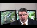 SSA s Listings of Impairments Fast Approval for Your Claim