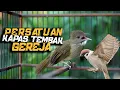 Download Lagu MASTERAN PERSATUAN KAPAS TEMBAK GEREJA MANTAP!