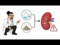 The Real Effect of ALCOHOL on Your KIDNEYS