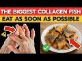 Download Lagu Over 60? Eat These 5 Collagen-Rich Fish to Strengthen Your Legs \u0026 Joints NOW | Senior Health Tips