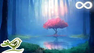 Deep Relaxing Music Meditation Music Sleep Music Ambient Music 