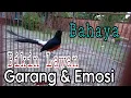 Download Lagu TERCEPAT MERANGSANG EMOSI..BIKIN LAWAN TERBIUS EMOSI NYA..BONGKAR MATERI