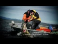 Lawless Island