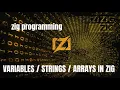 integers strings and arrays in zig programming