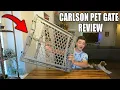 1 Year Review of Carlson Pet Gate