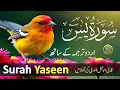 Lagu Best Surah Yaseen Recitation | Powerful Quran Tilawat to Cleanse Your Soul | سورة يس | Daily Quran