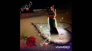 ولا نسيتك  عامر منيب دندنها