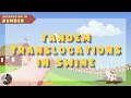 Swine Chromosomal Abberations
