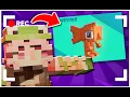The ONLY Blockbench Figura Tutorial You ll Ever Need