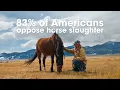 Let s permanently CLOSE the horse slaughter pipeline