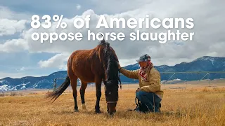 Let s permanently CLOSE the horse slaughter pipeline
