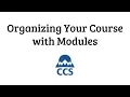 Organizing you Course in Modules